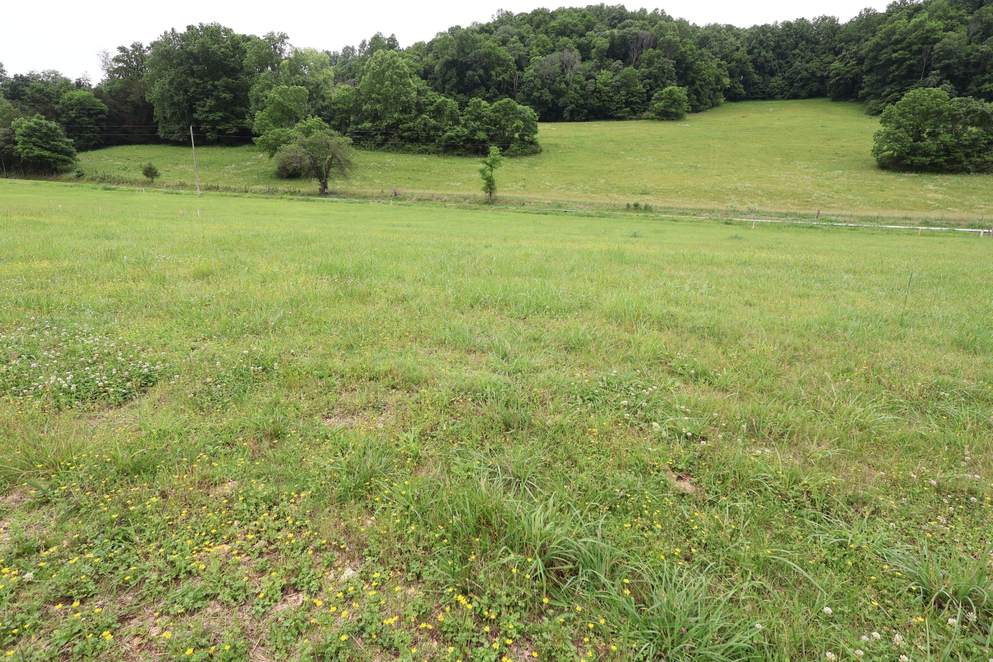 0 Pleasant Shade Hwy Property Photo 17