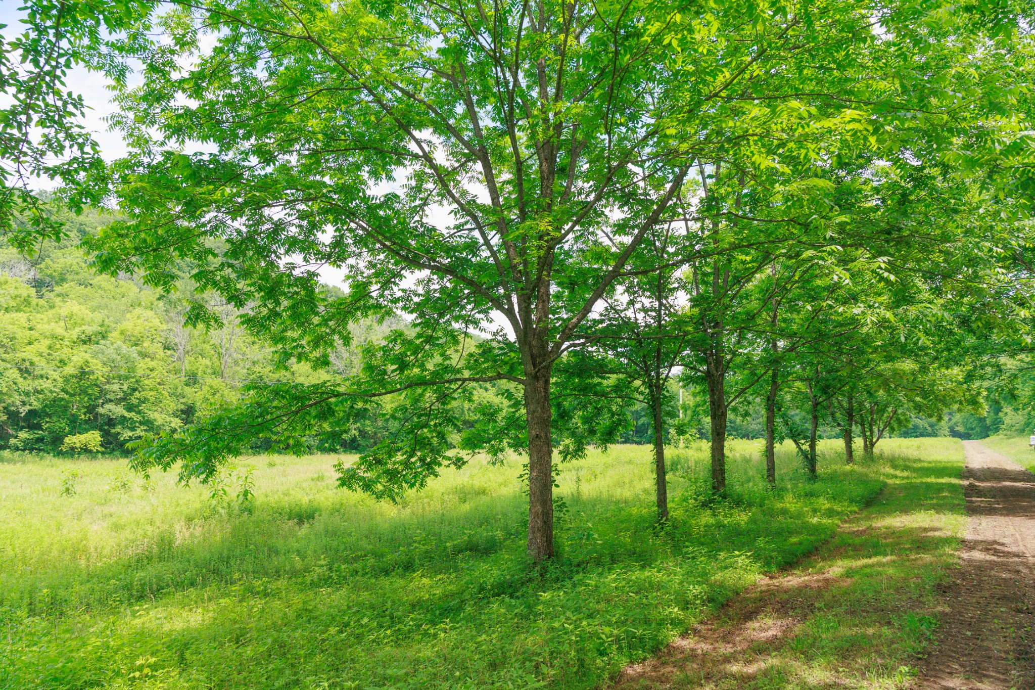 582 Cedar Bend Rd Property Photo 3