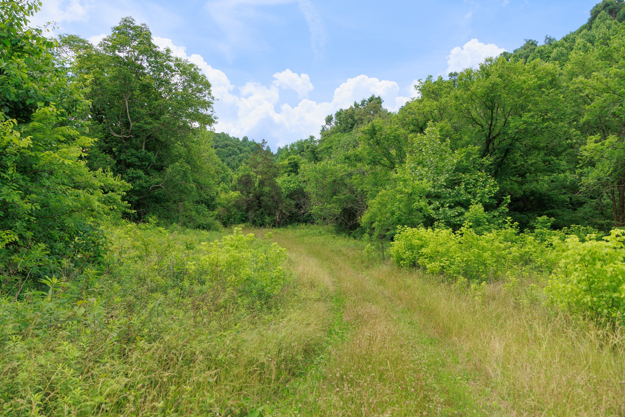 582 Cedar Bend Rd Property Photo 11