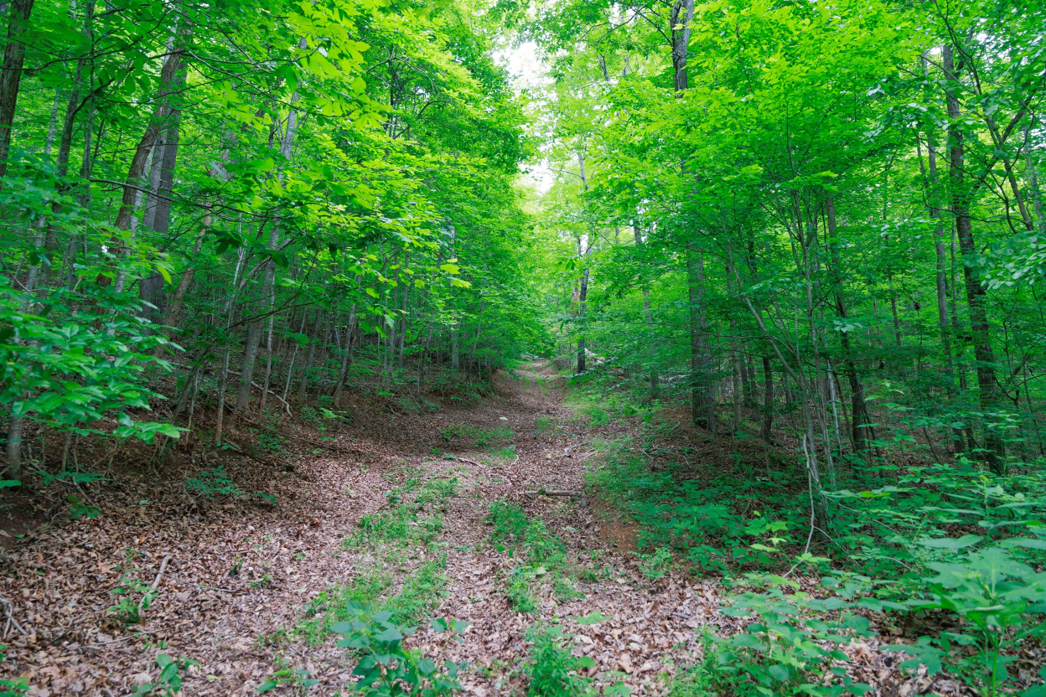 582 Cedar Bend Rd Property Photo 13