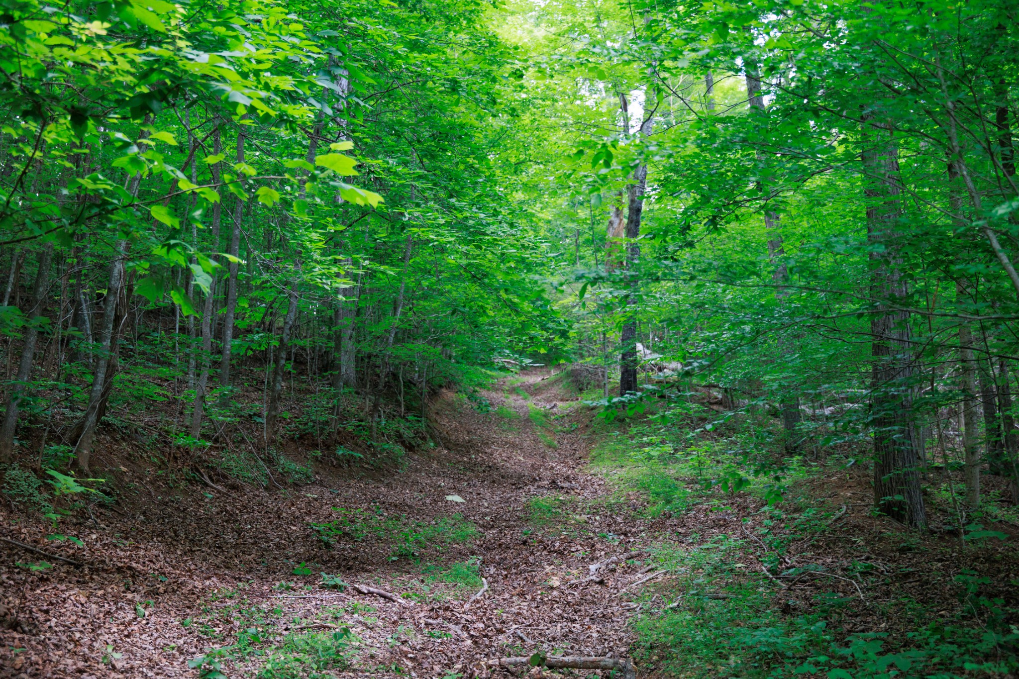 582 Cedar Bend Rd Property Photo 14