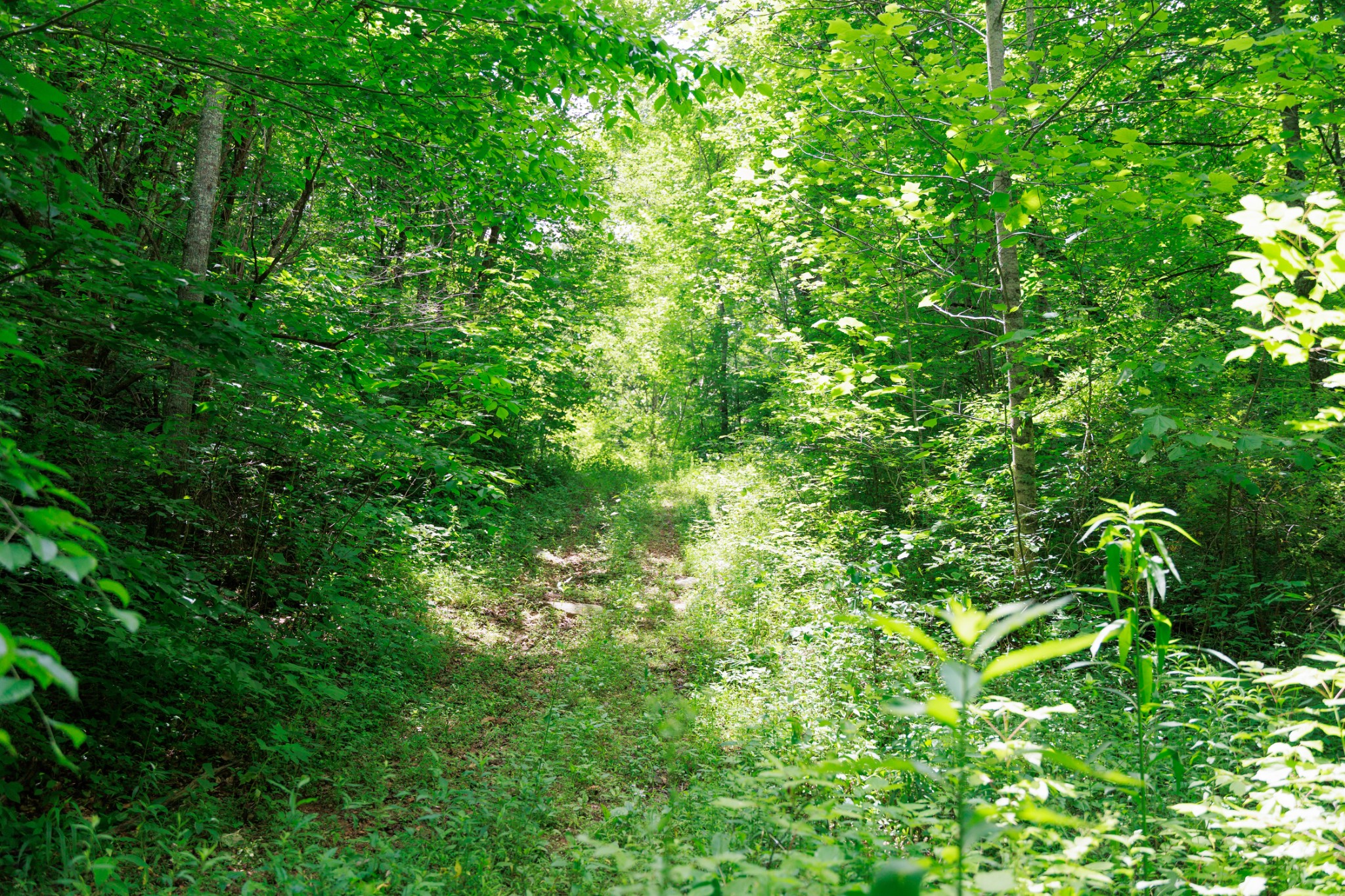 582 Cedar Bend Rd Property Photo 21