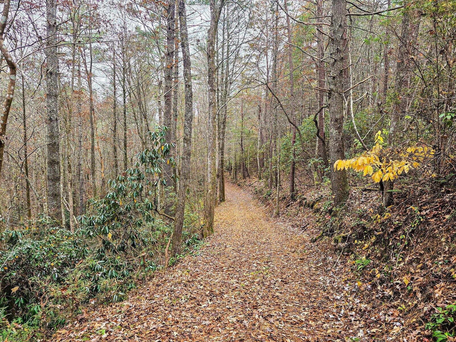 138 Bowater Road Property Photo 1