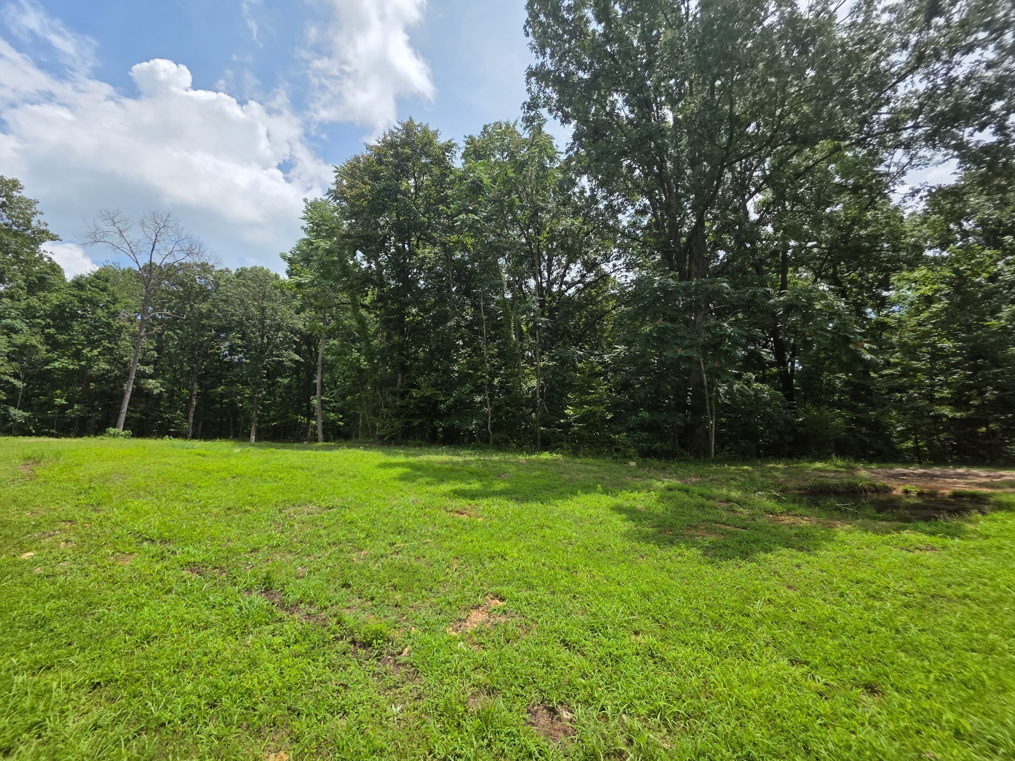 0 Baggett Hollow Property Photo 1