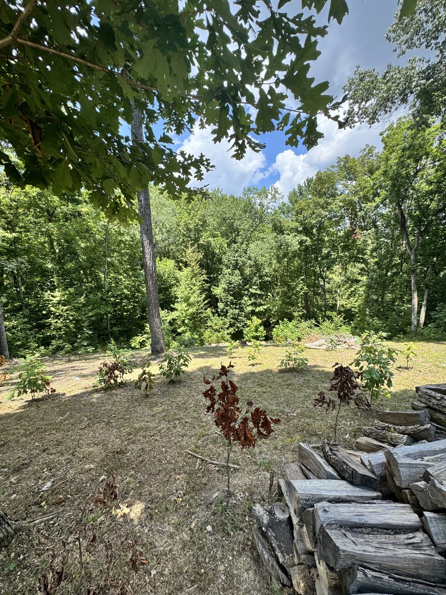 317 Mcduff Ln Property Photo 31