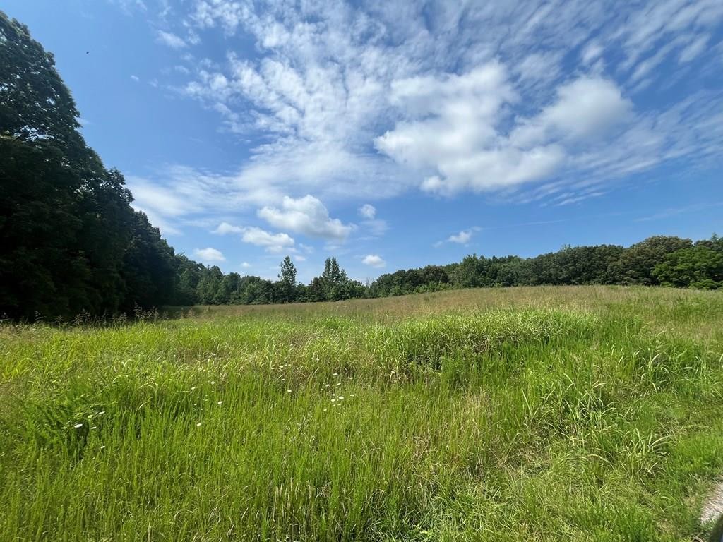 0 Summer Breeze Dr Property Photo 1