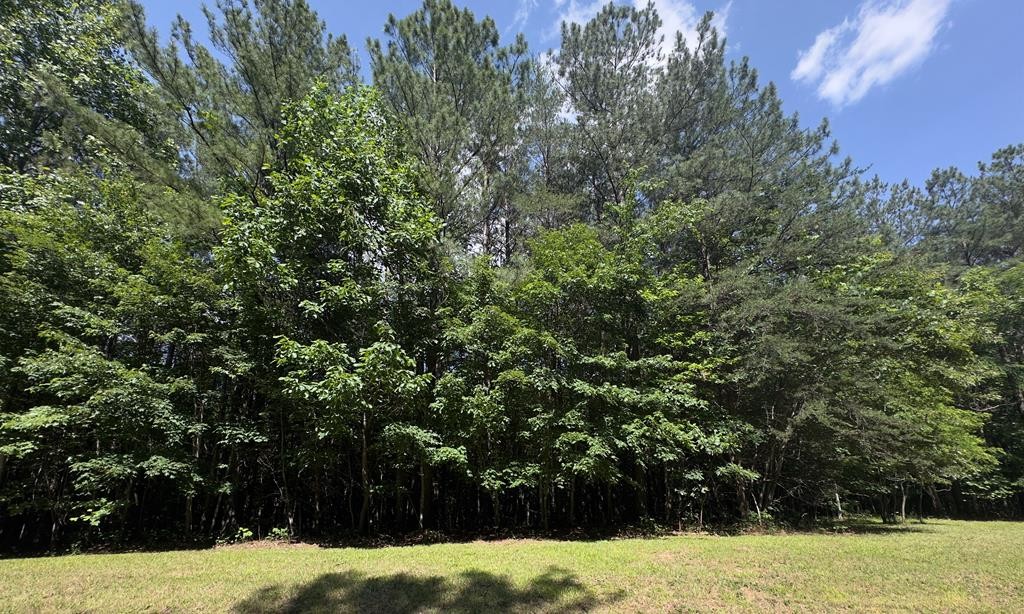 0 Hickory Nut Trl Property Photo 1