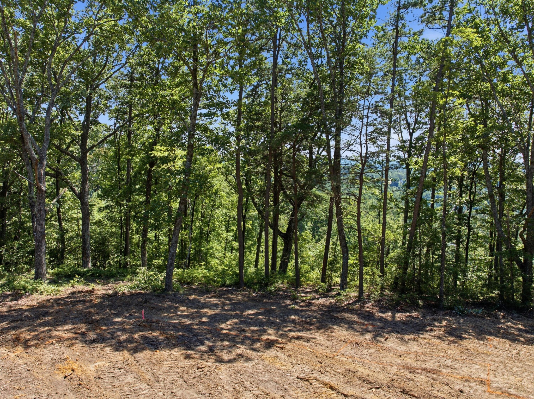 0 Split Rail Way Property Photo 9