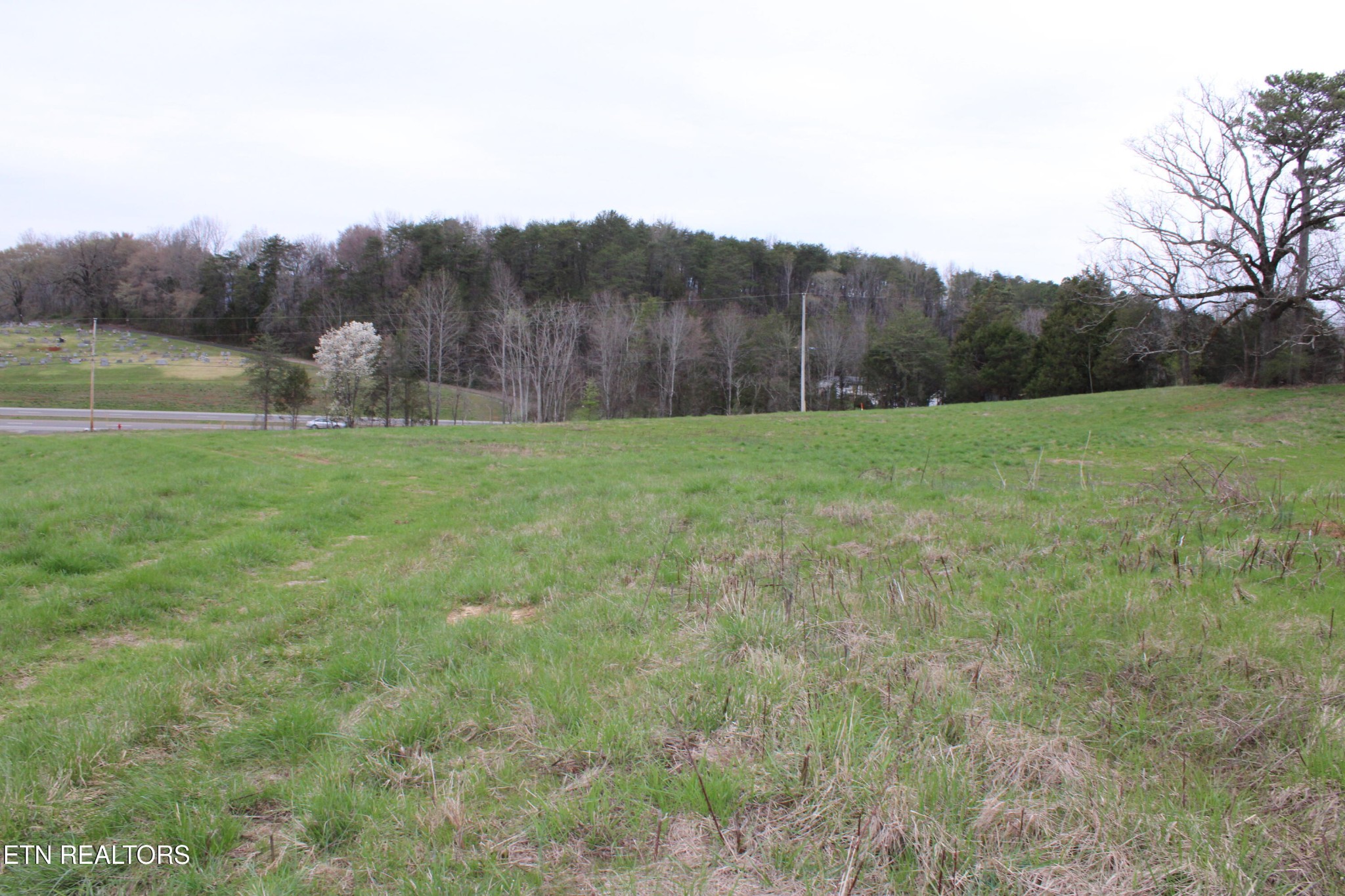 0 Rhea County Hwy Property Photo 8