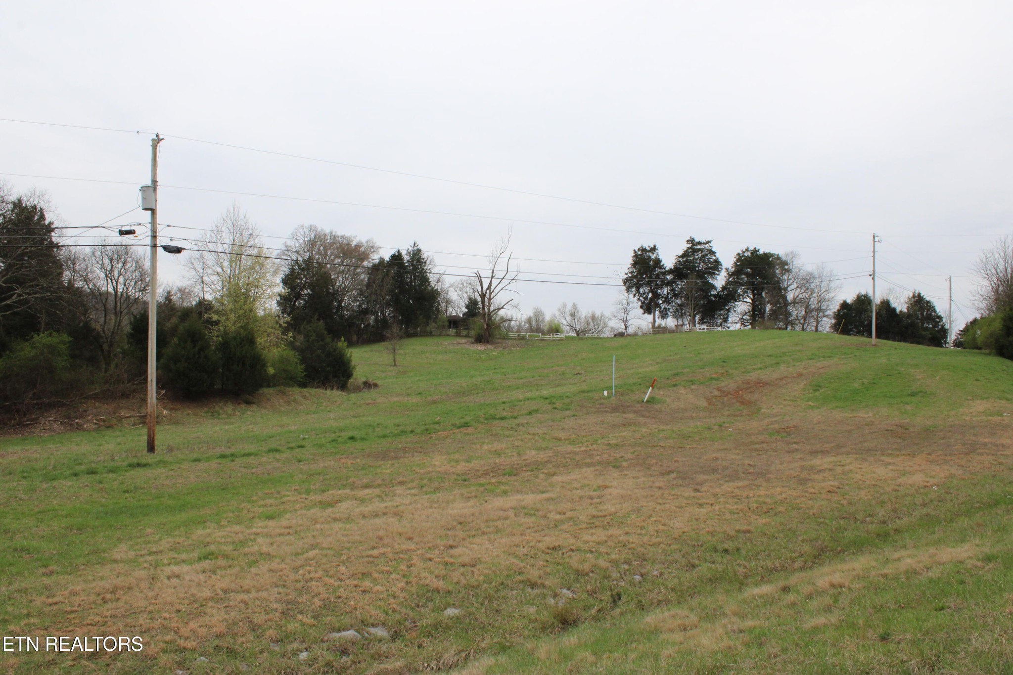0 Rhea County Hwy Property Photo 11