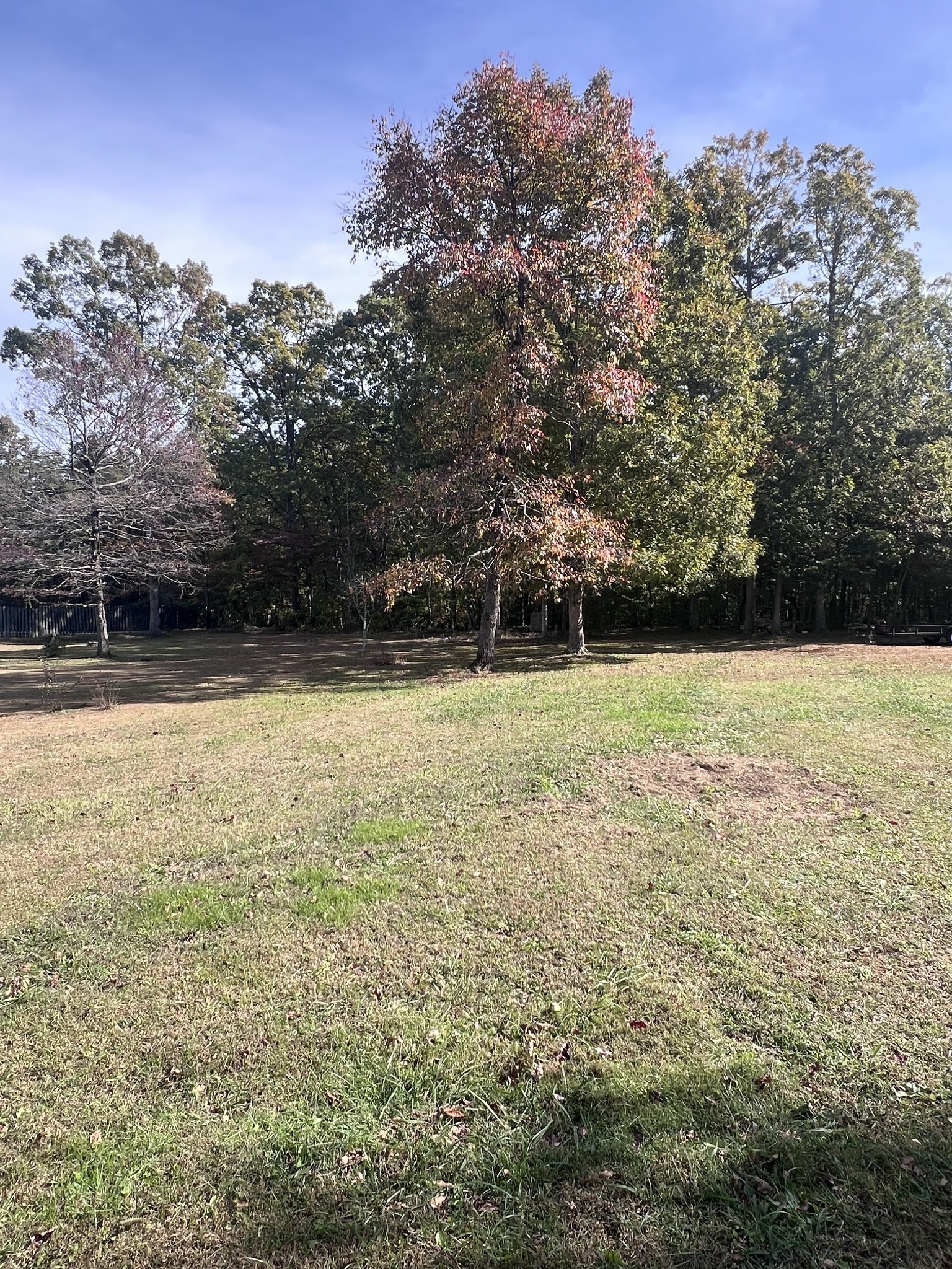 100 Treeline Ct Property Photo 9