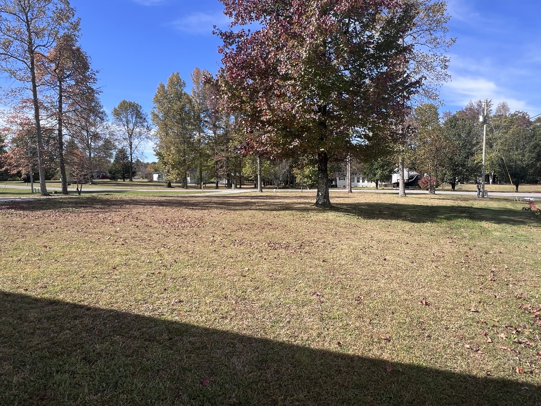 100 Treeline Ct Property Photo 10