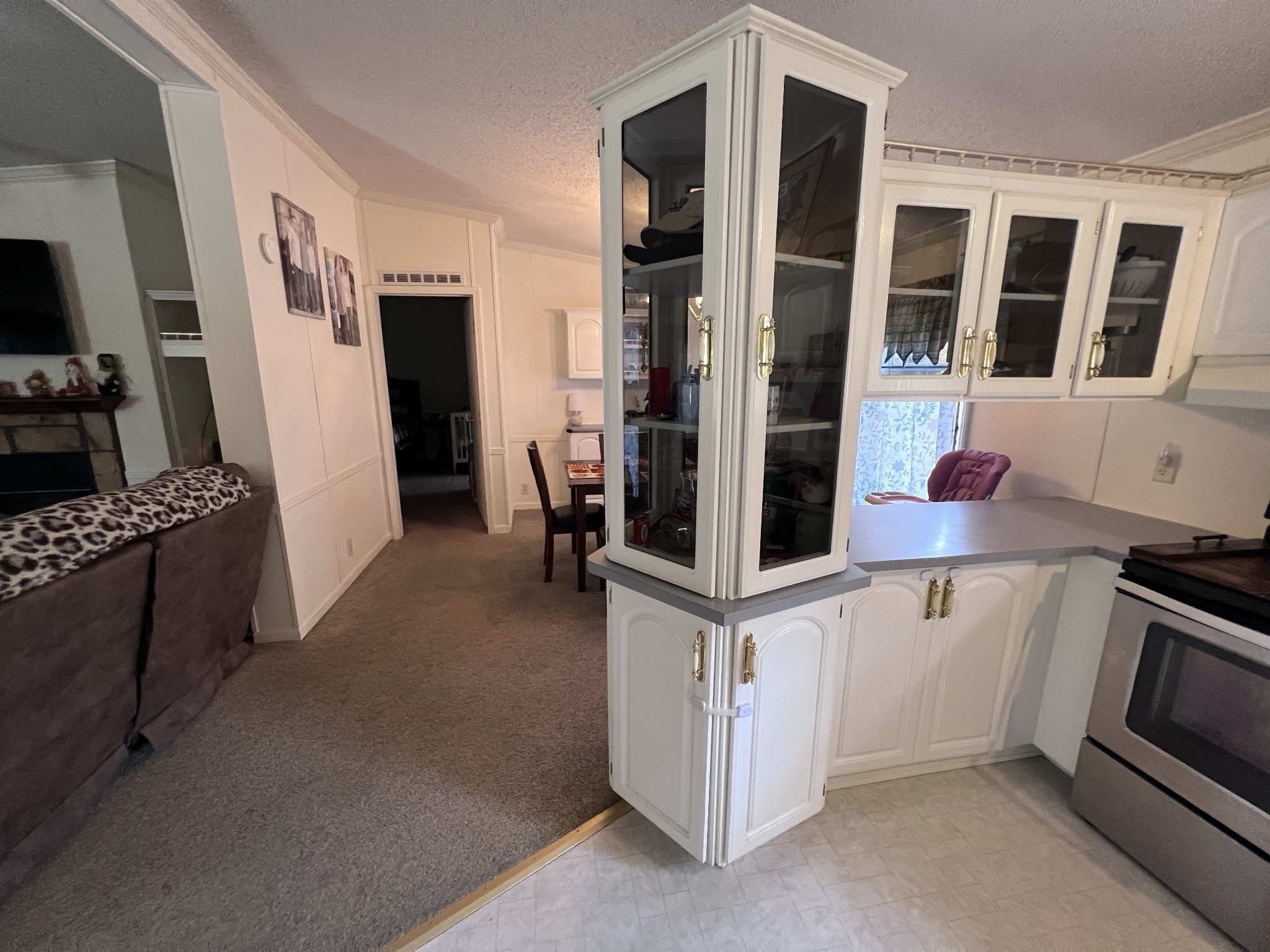 100 Treeline Ct Property Photo 19