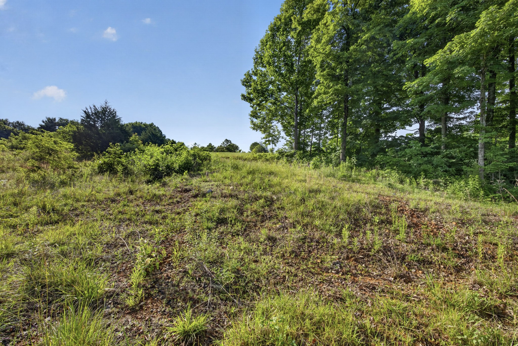 0 Hidden Cove Lane Property Photo 3