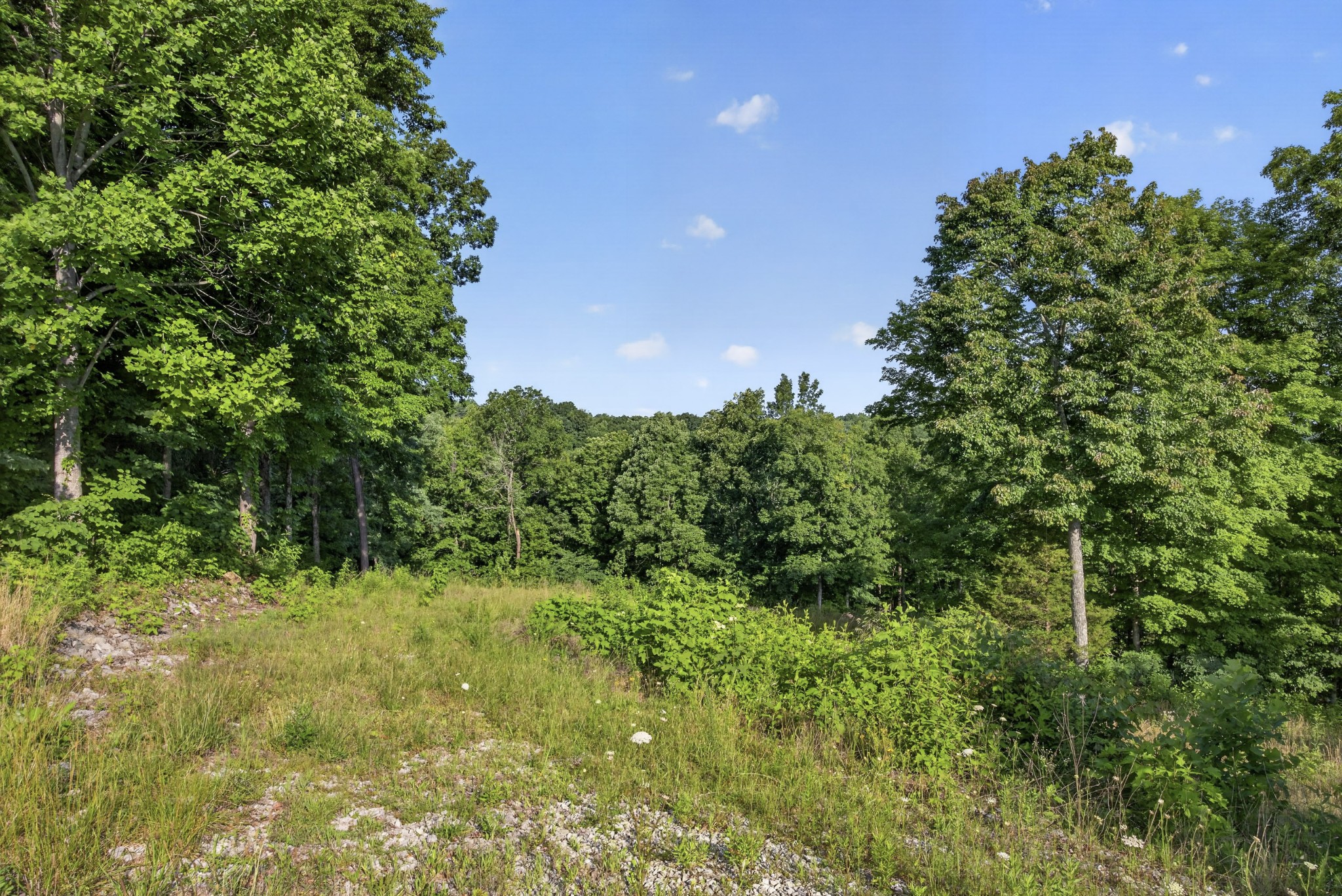 0 Hidden Cove Lane Property Photo 7