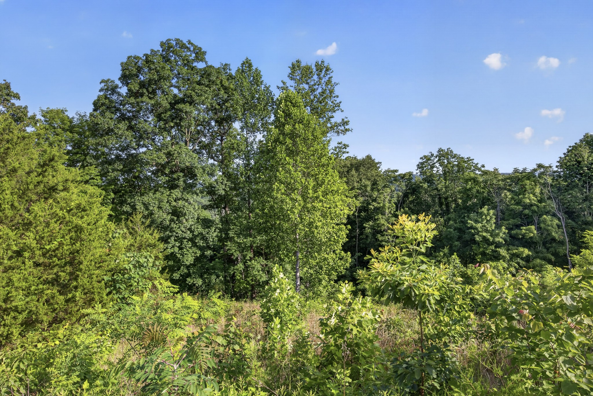 0 Hidden Cove Lane Property Photo 8