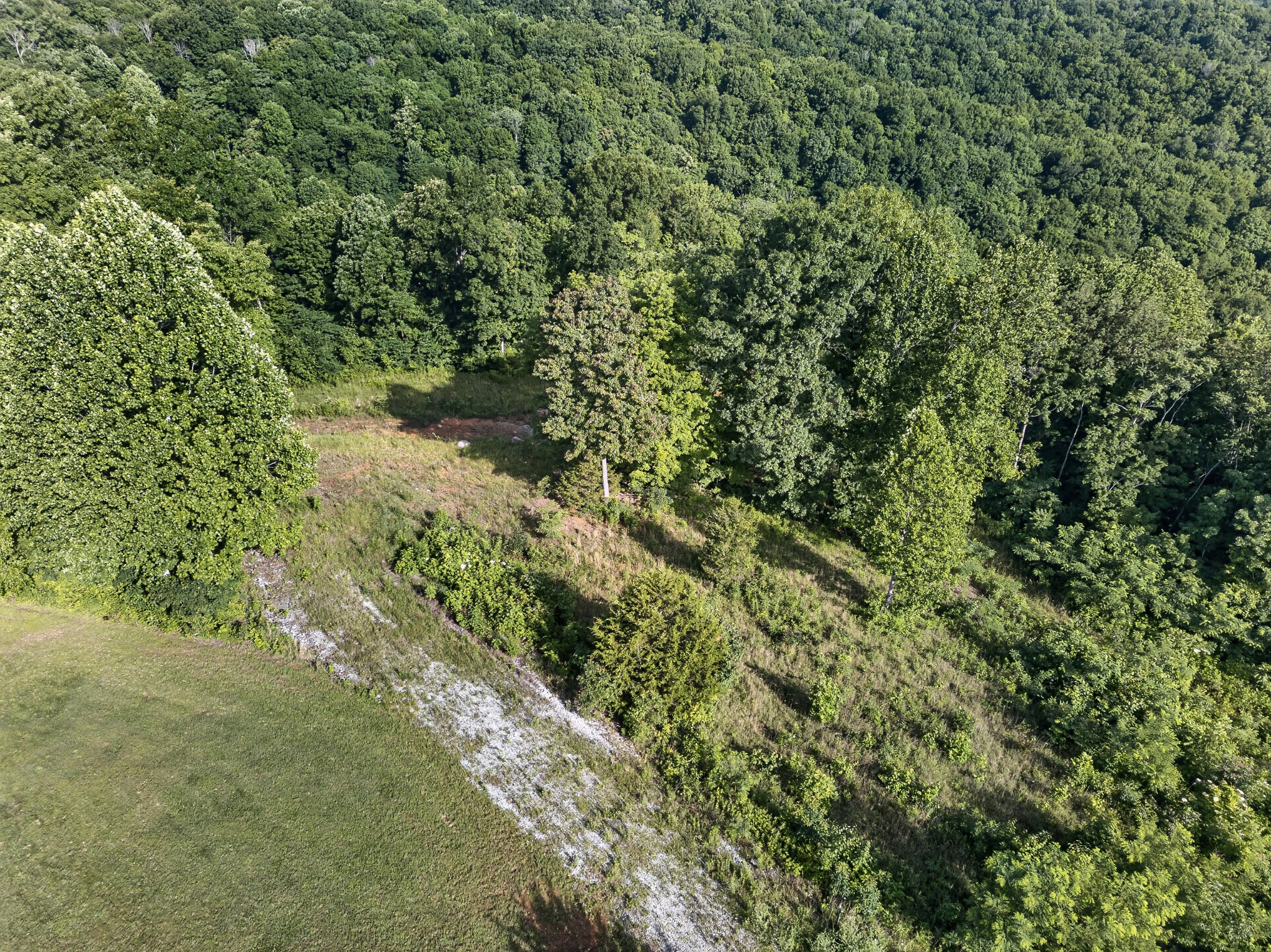 0 Hidden Cove Lane Property Photo 13