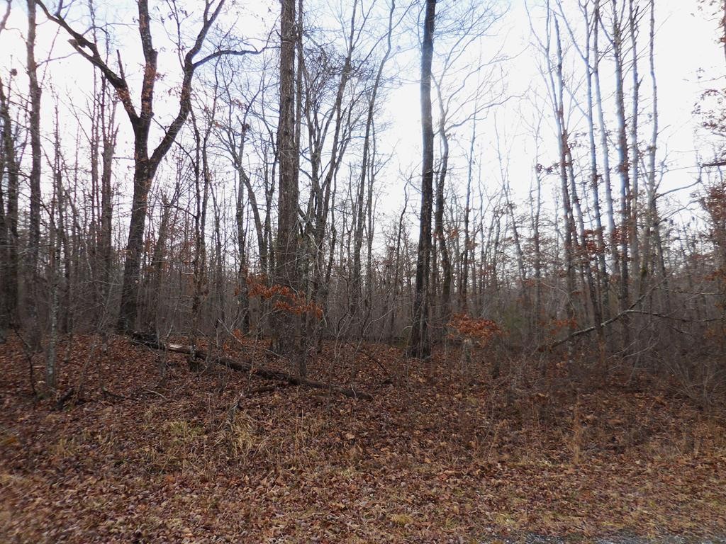 3008 Diego Drive Property Photo 1