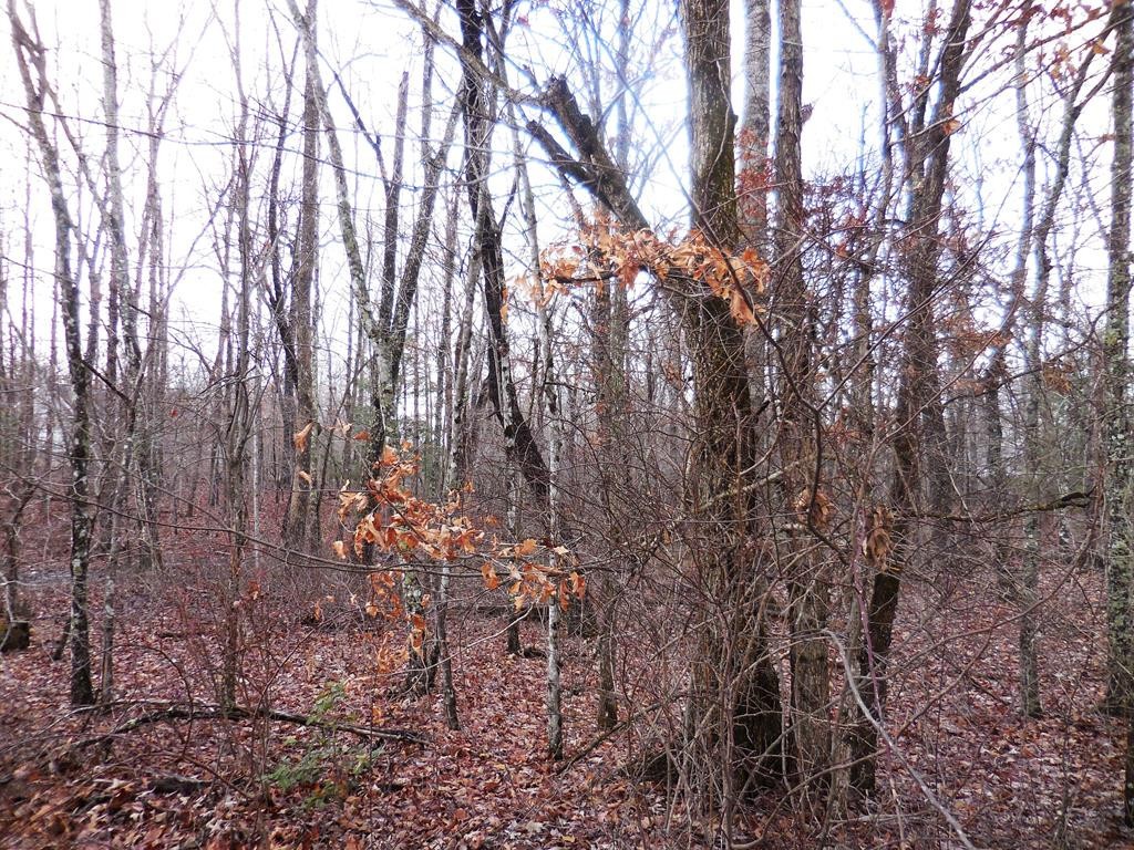 1143 Natchez Trace Property Photo 1