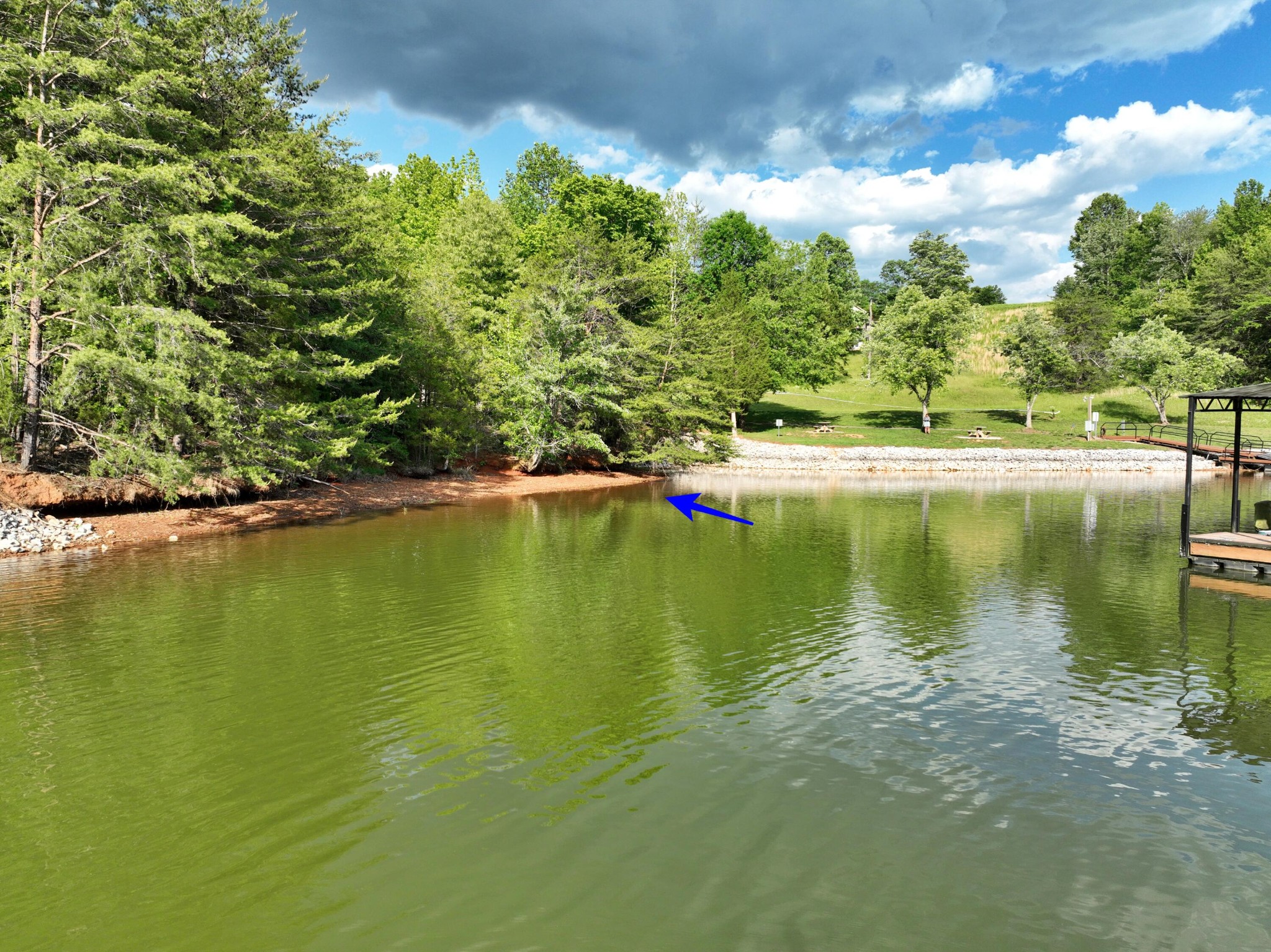 56 Blue Heron Bluff Property Photo 1