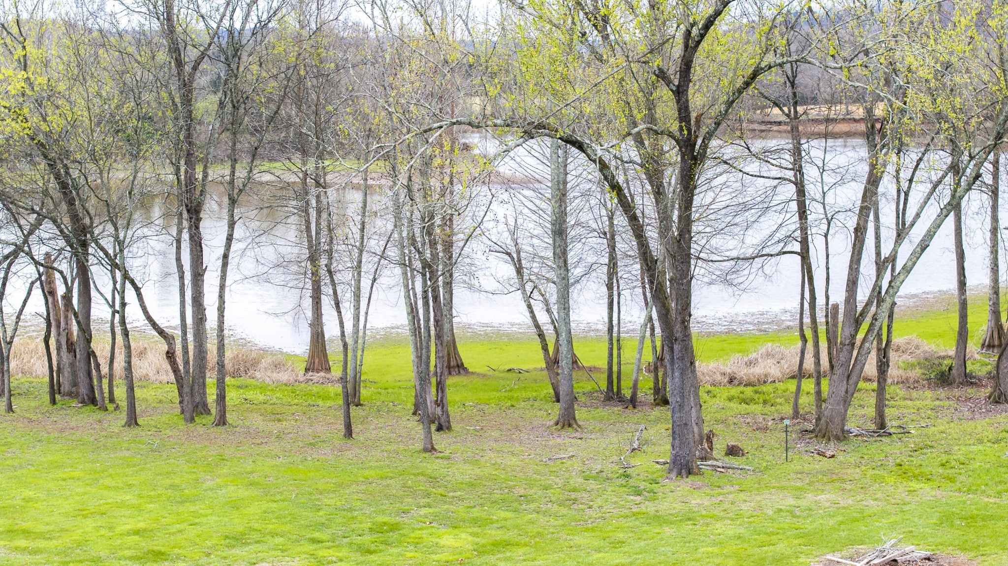 468 Melrose Place Property Photo 58