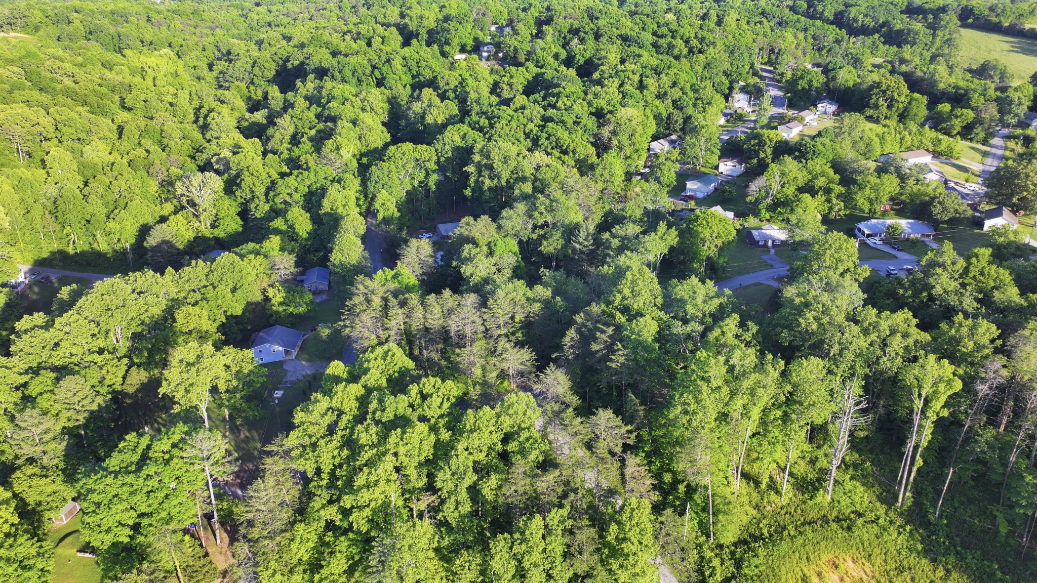 86 Hidden Hills Drive Property Photo 1