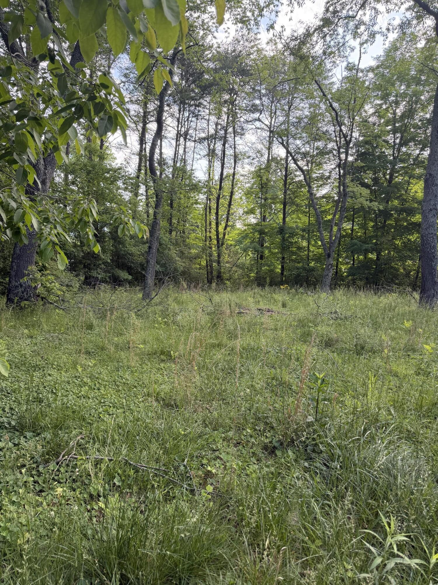 86 Hidden Hills Drive Property Photo 7