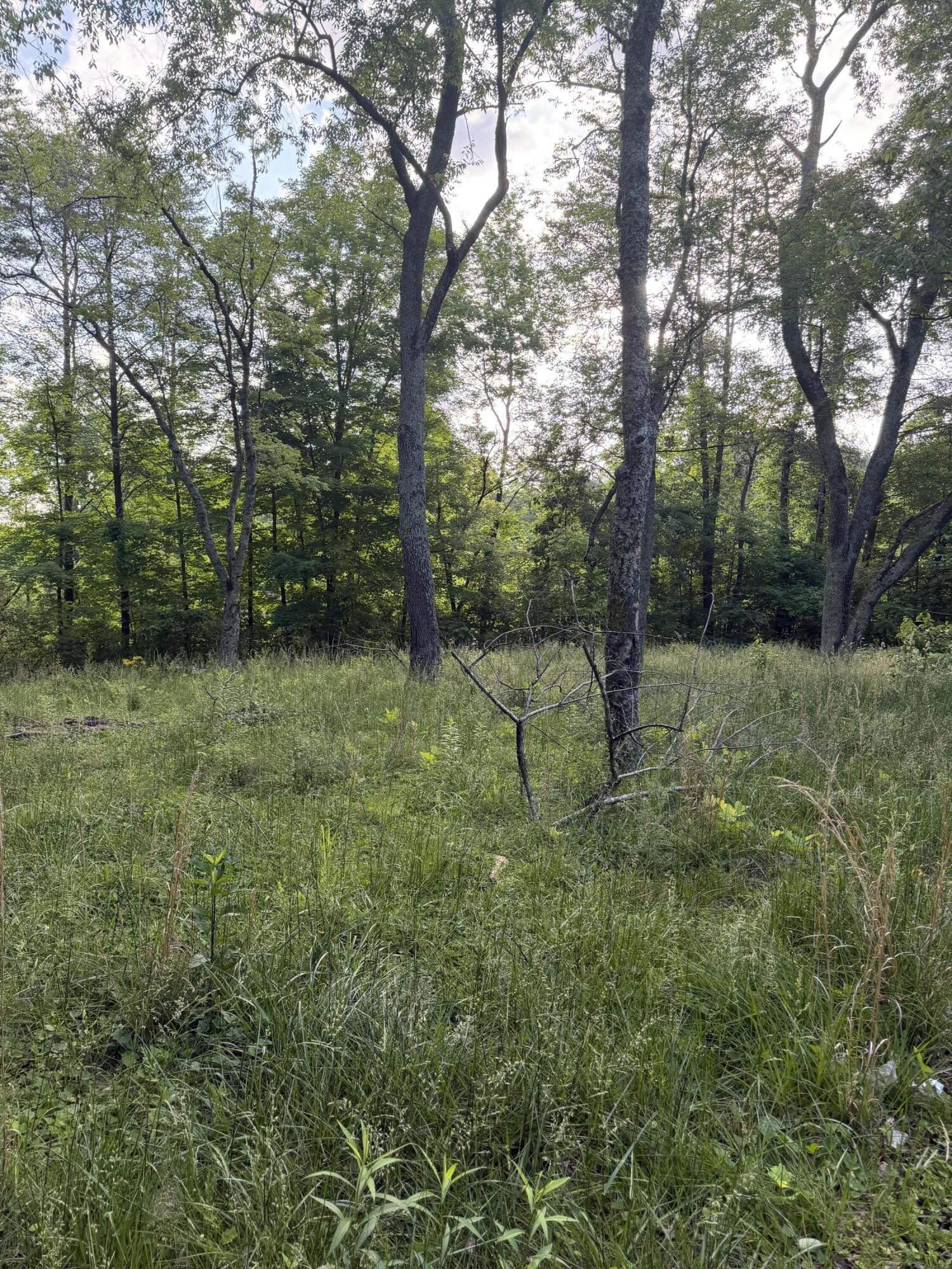 86 Hidden Hills Drive Property Photo 8