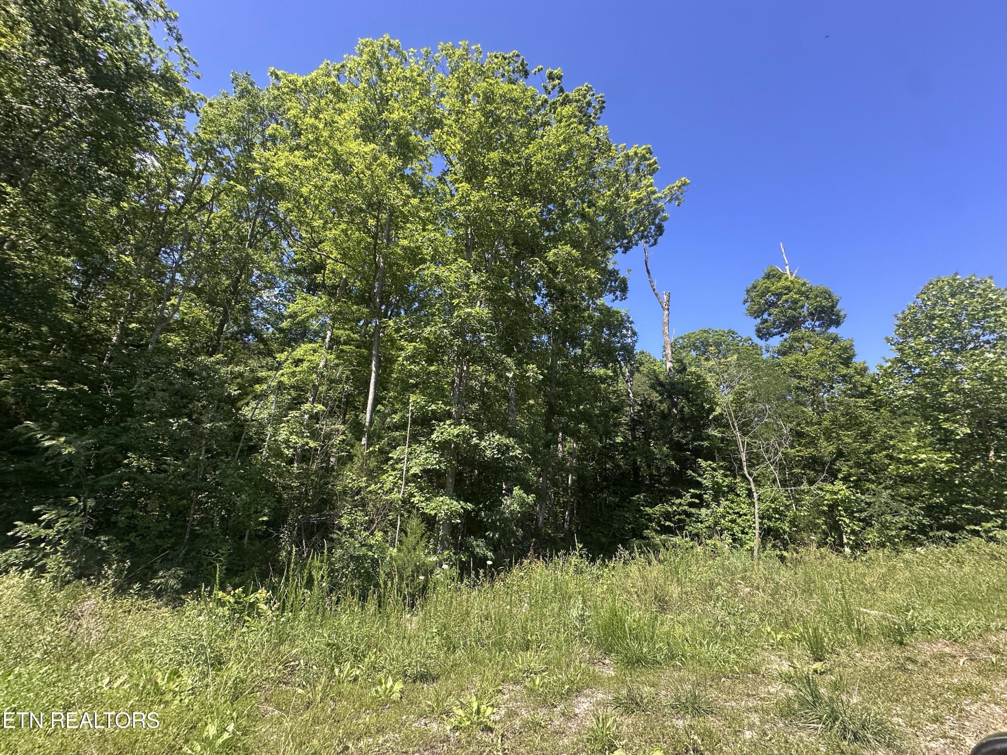 1020 Tomahawk Rd Property Photo 1