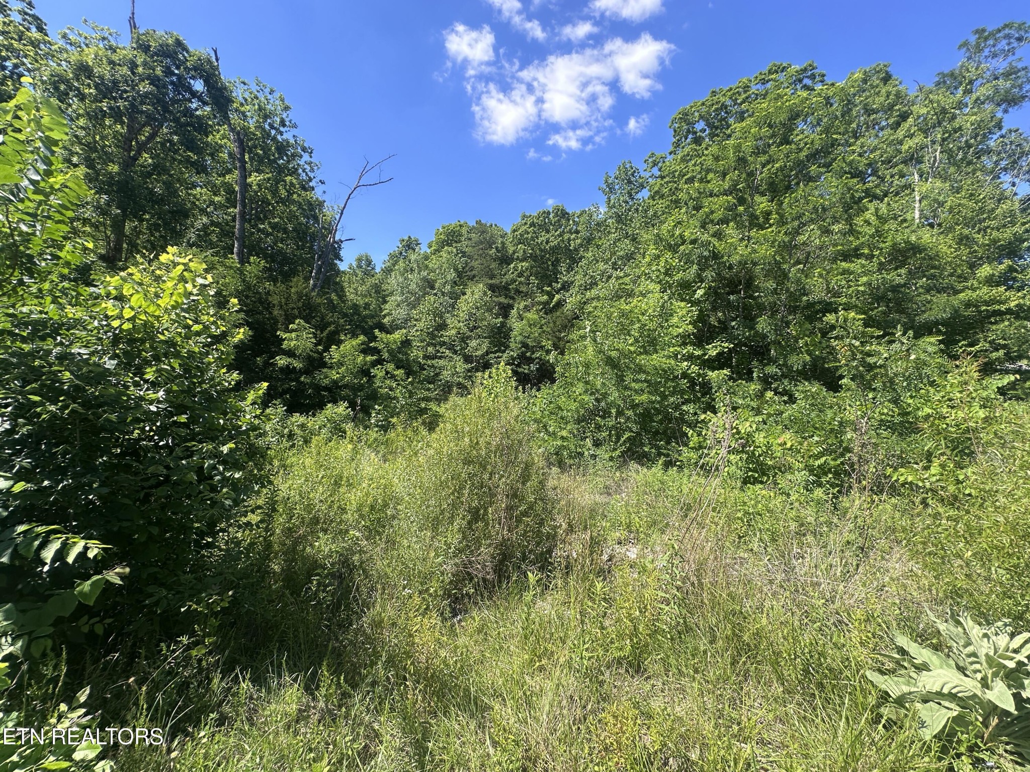 1020 Tomahawk Rd Property Photo 2