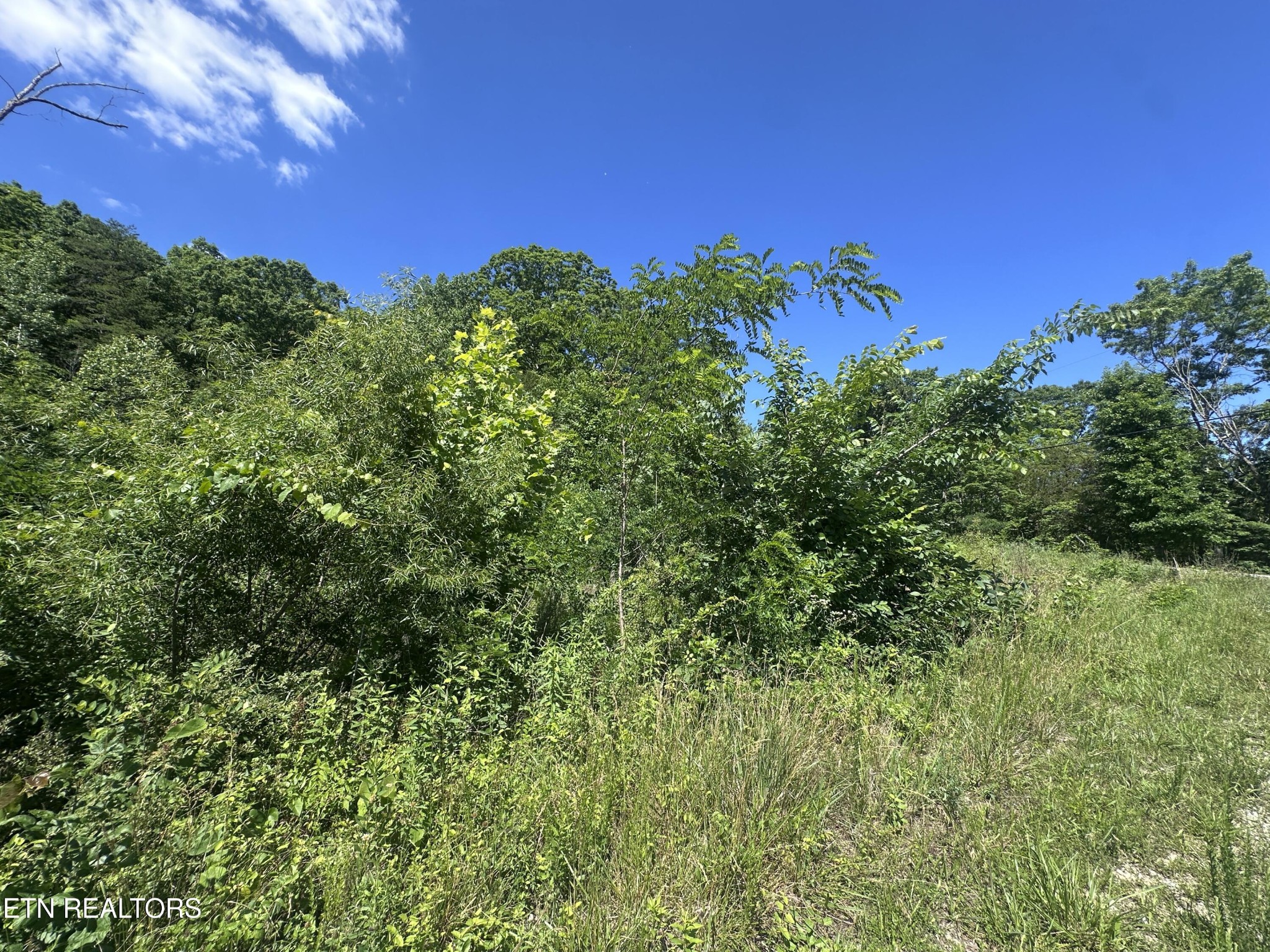 1020 Tomahawk Rd Property Photo 3