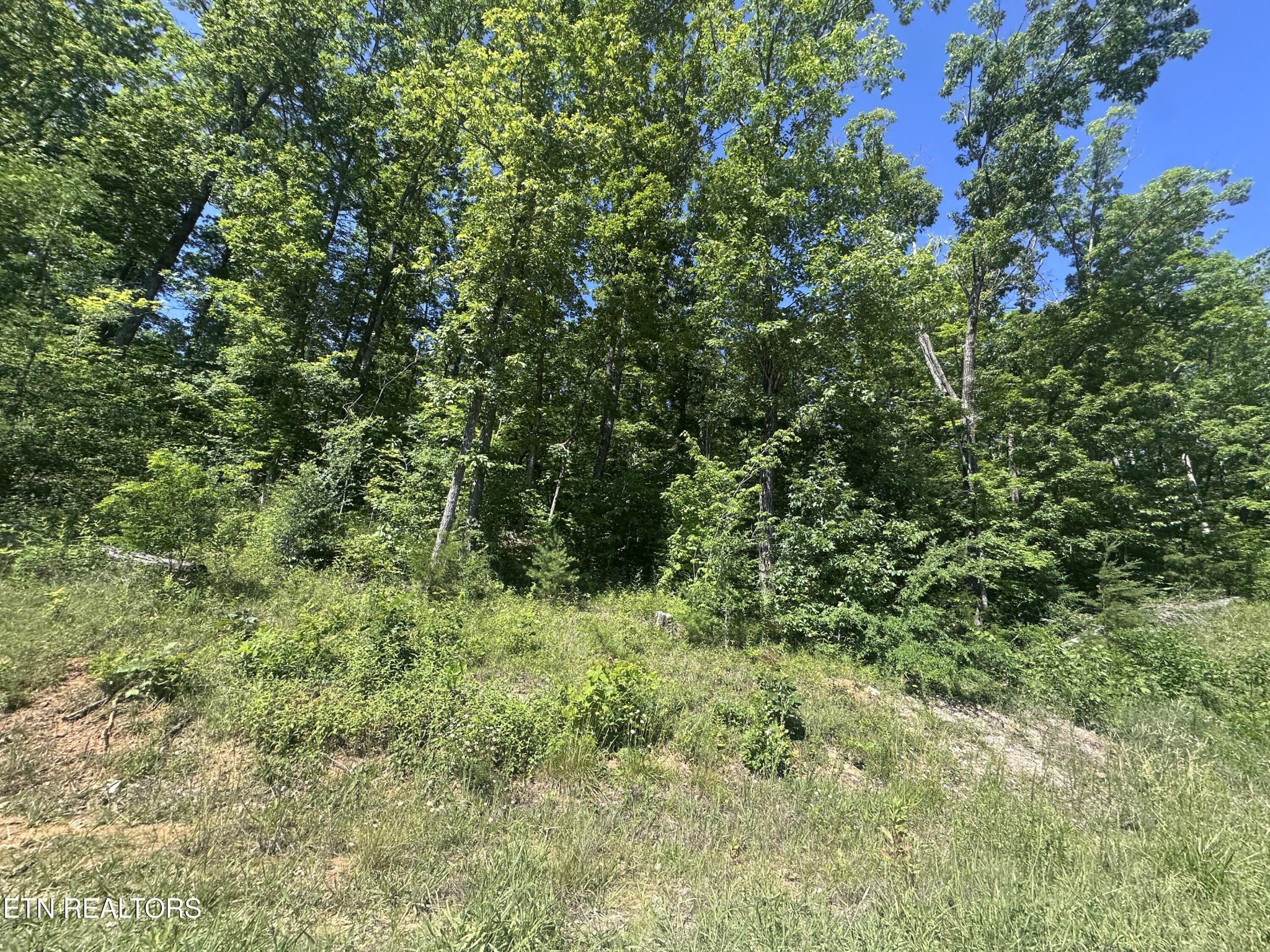 1020 Tomahawk Rd Property Photo 4