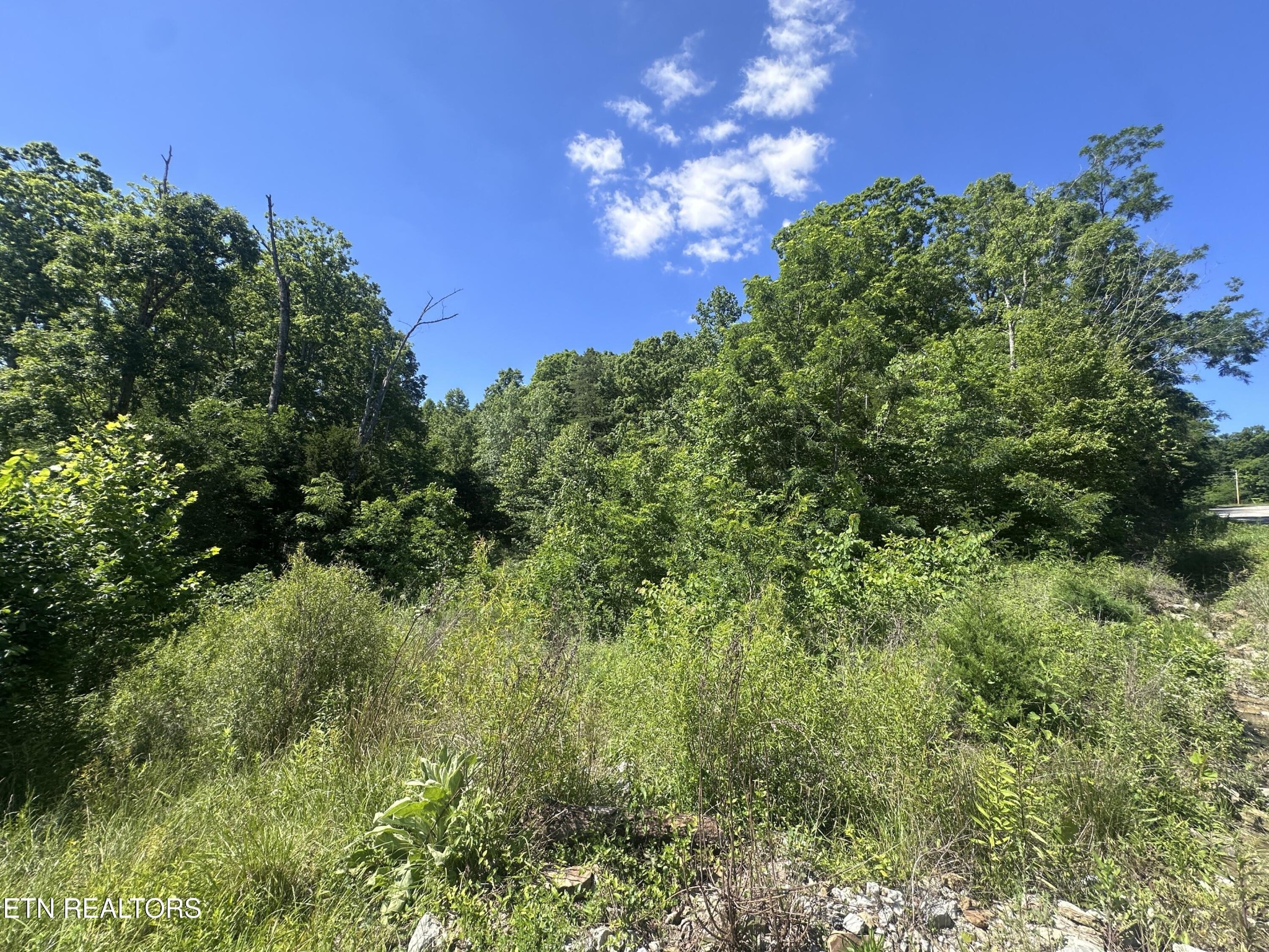 1020 Tomahawk Rd Property Photo 11