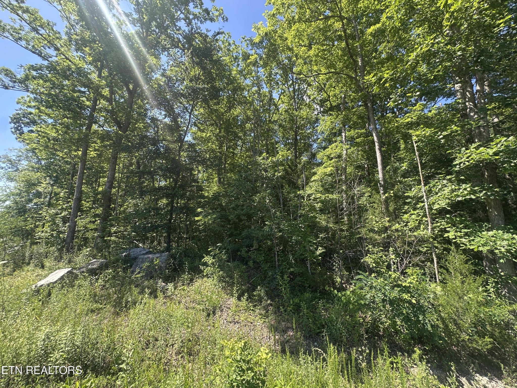 1020 Tomahawk Rd Property Photo 12