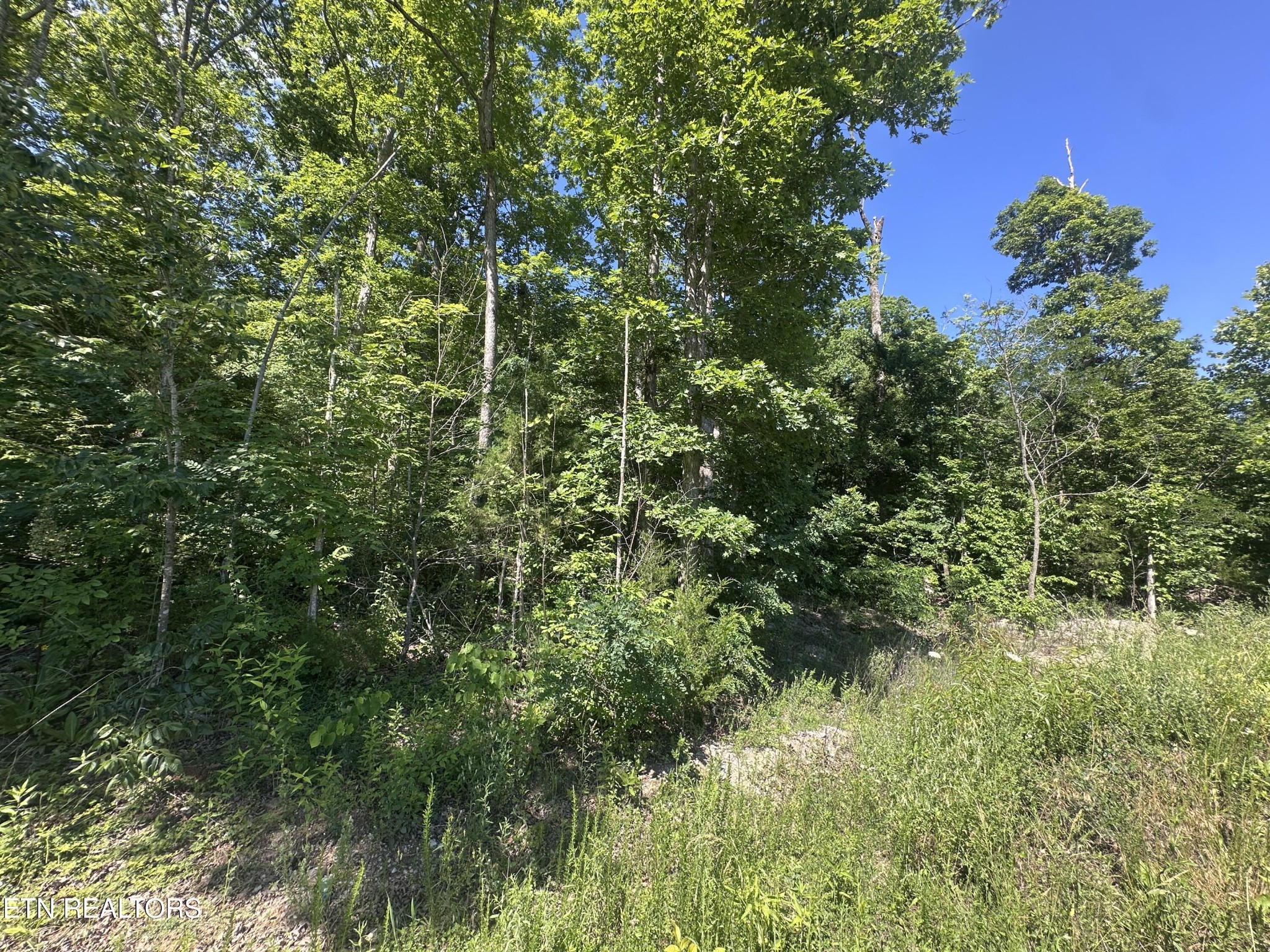 1020 Tomahawk Rd Property Photo 13