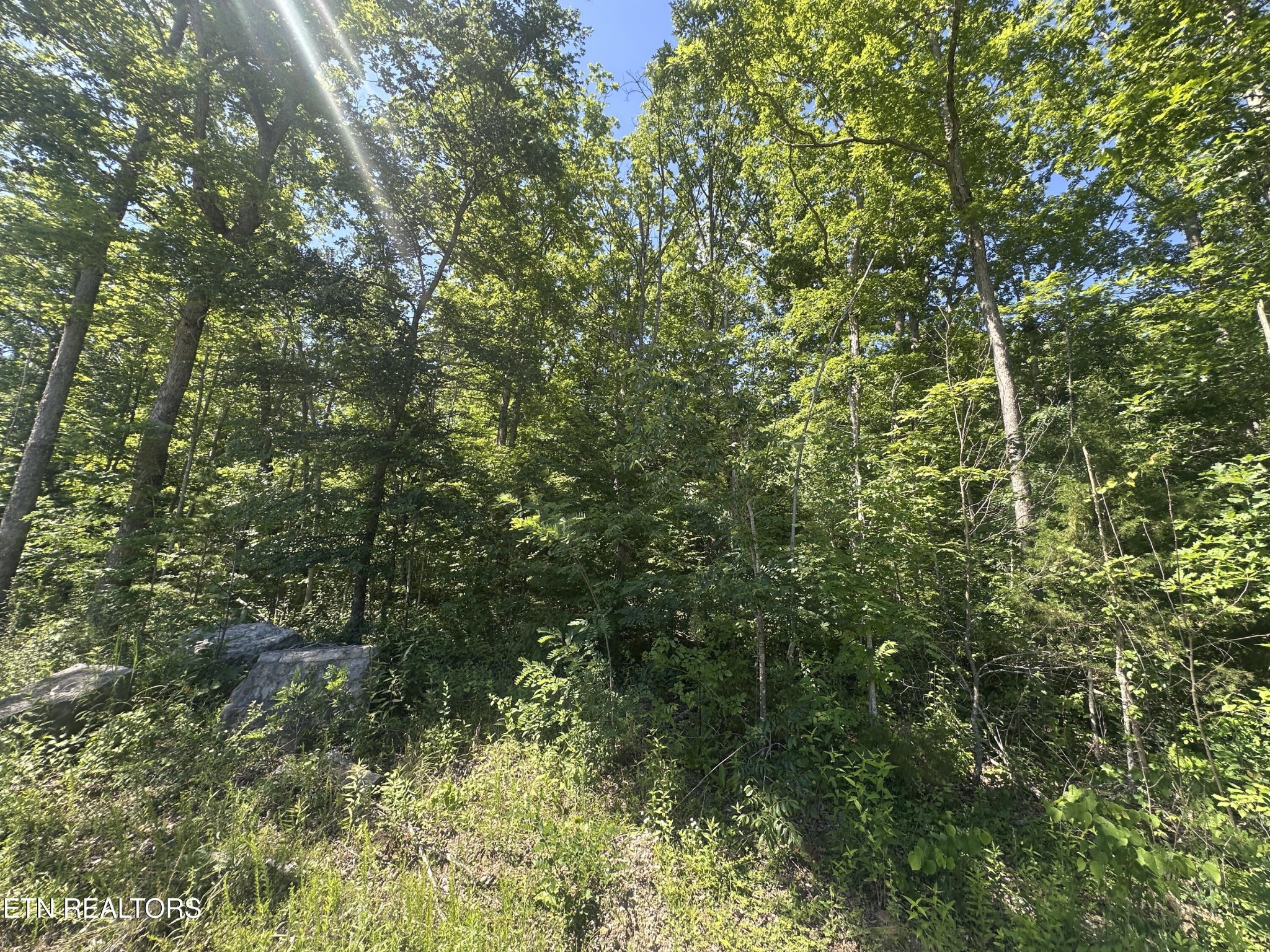 1020 Tomahawk Rd Property Photo 14