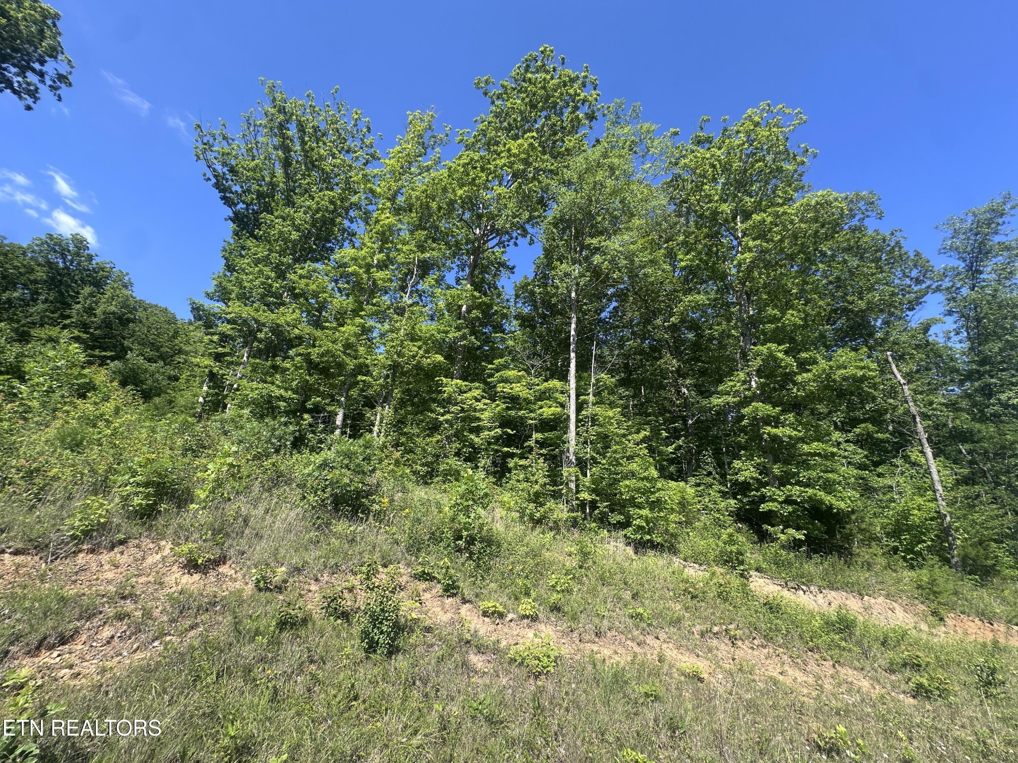 1020 Tomahawk Rd Property Photo 17