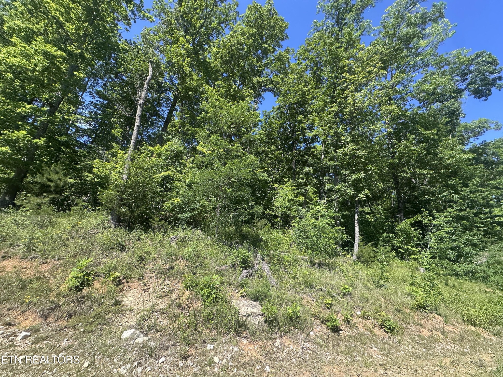 1020 Tomahawk Rd Property Photo 18