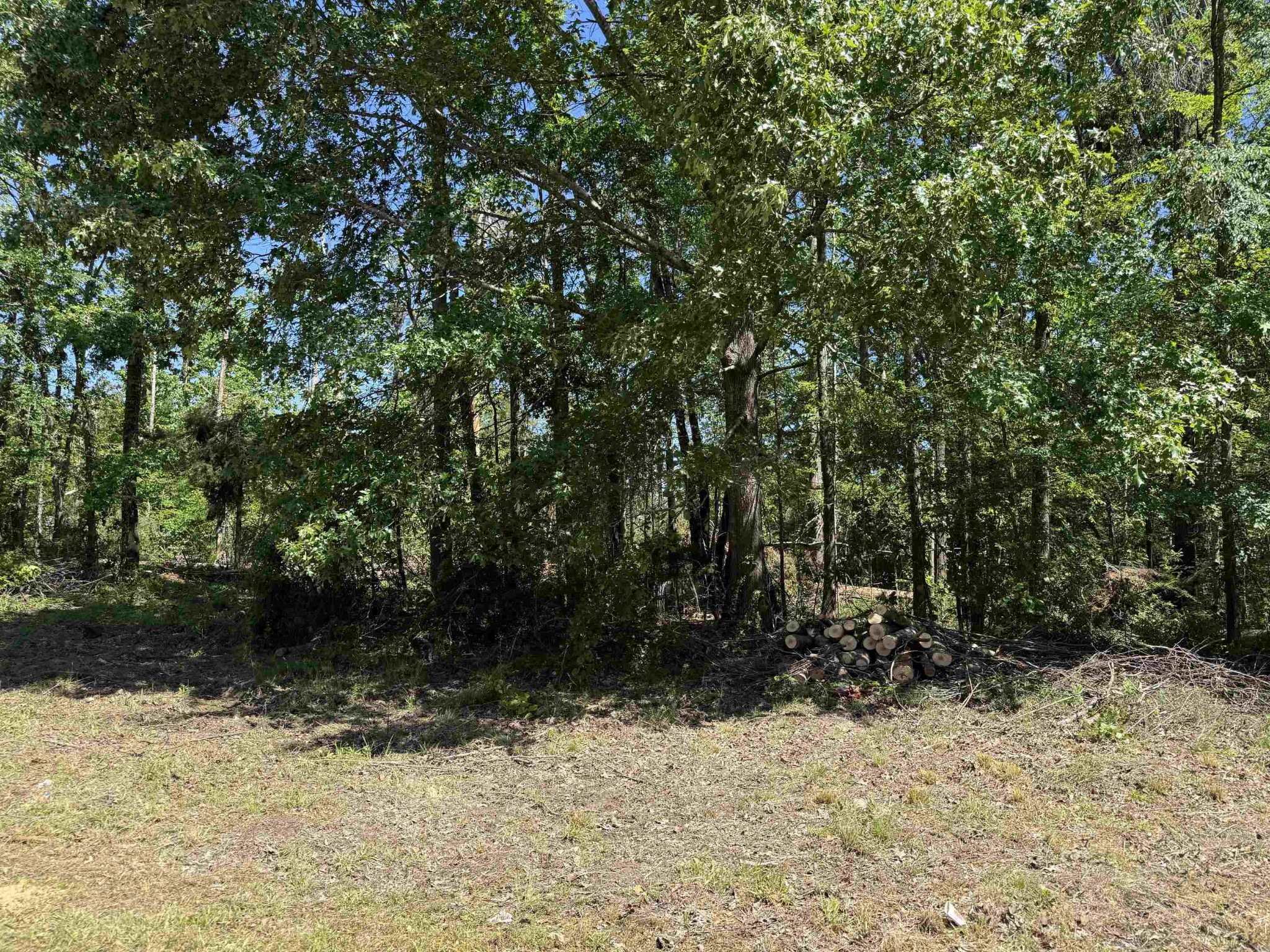 0 Clement Dr Property Photo 1