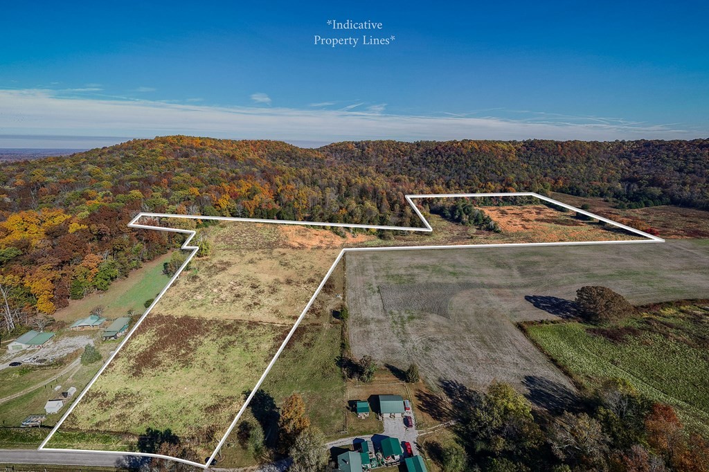 0 Webbs Camp Road Property Photo 2