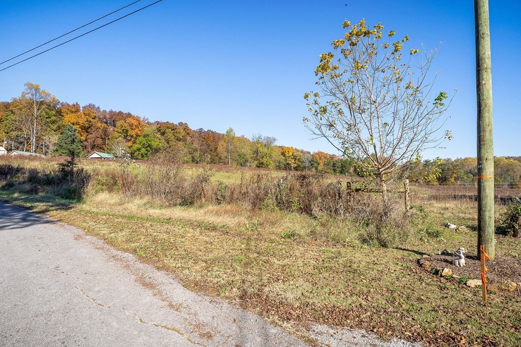 0 Webbs Camp Road Property Photo 3