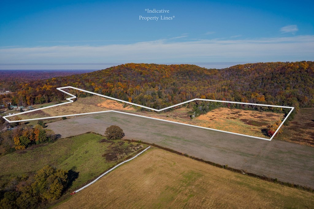 0 Webbs Camp Road Property Photo 6