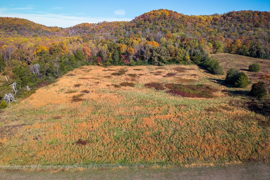 0 Webbs Camp Road Property Photo 10