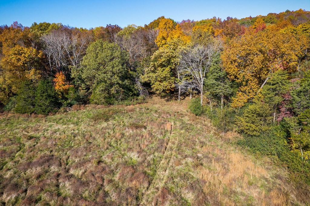 0 Webbs Camp Road Property Photo 13