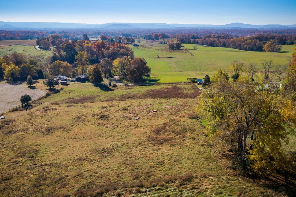 0 Webbs Camp Road Property Photo 14