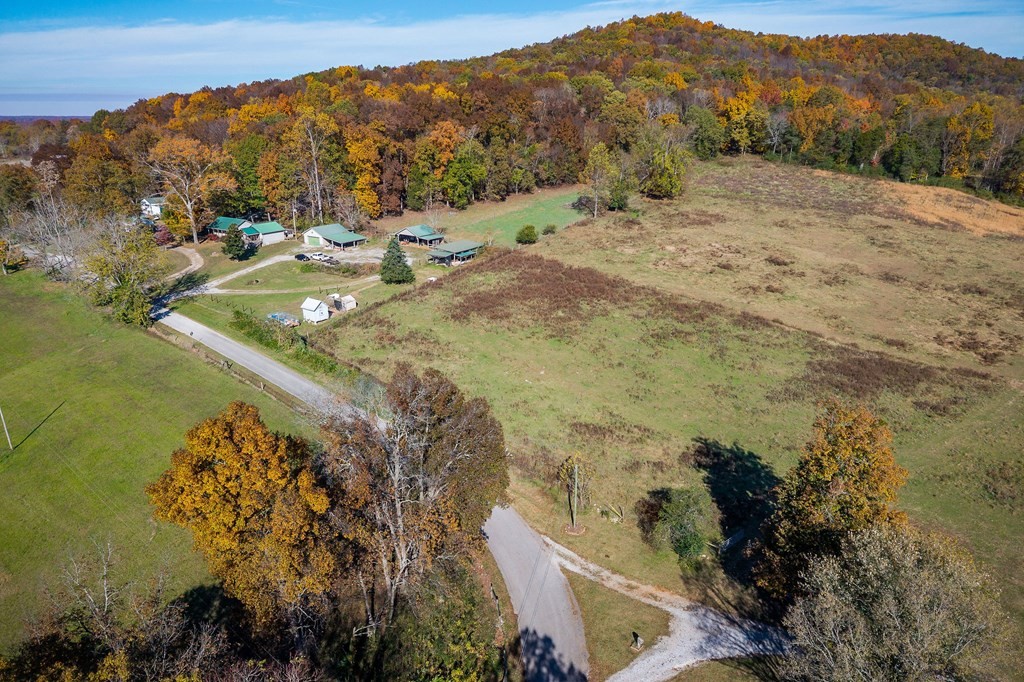0 Webbs Camp Road Property Photo 16