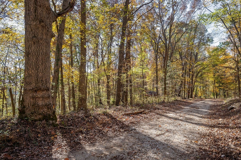 0 Webbs Camp Road Property Photo 18
