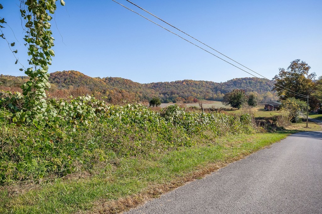 0 Webbs Camp Road Property Photo 19