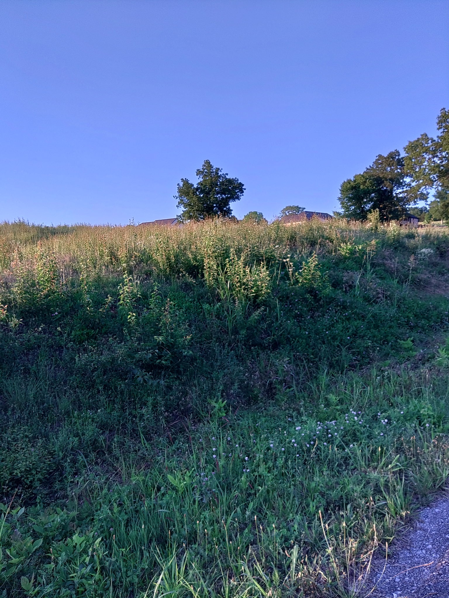 0 Collins Run Property Photo 1