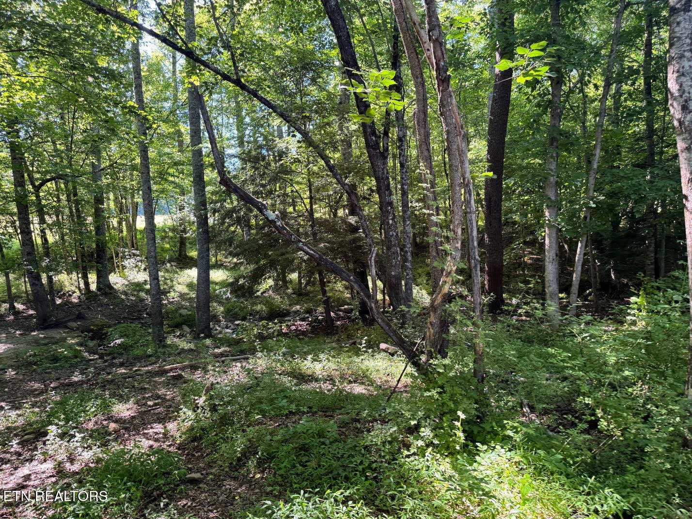 6986 S York Hwy Property Photo 51
